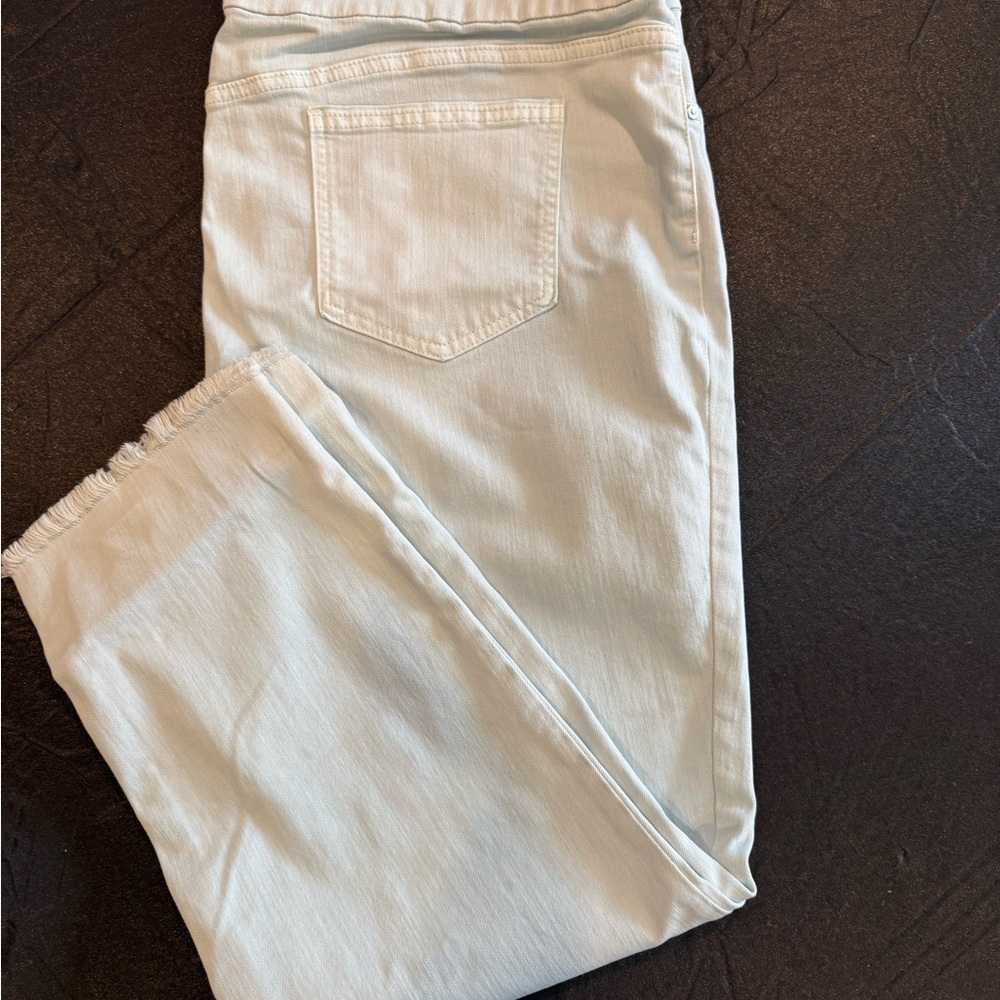 Chico’s Pull On Ankle Jeggings Size 4R/20